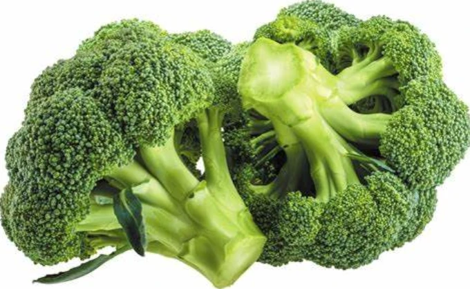 Broccoli Powder